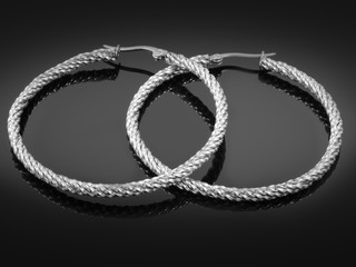 Ladies' Jewelry Earrings - Stainless Steel