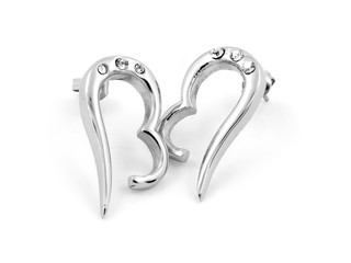 Ladies' Jewelry Earrings - Stainless Steel