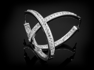 Ladies' Jewelry Earrings - Stainless Steel © jandix2