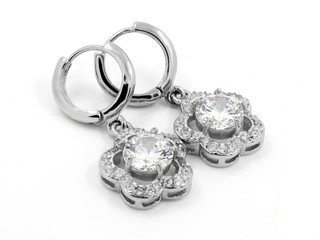 Ladies' Jewelry Earrings - Stainless Steel