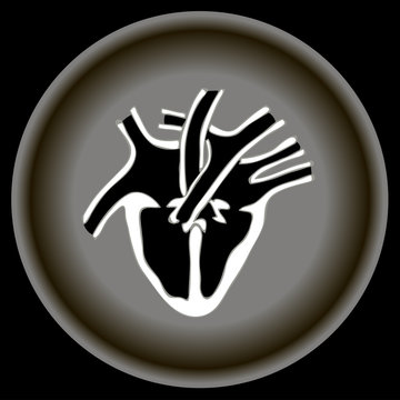 Icon Human heart anatomy on grey plate. 