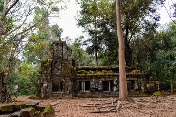 Fototapeta premium Green temple