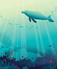 Obraz premium Whale, fish, coral reef, underwater sea.