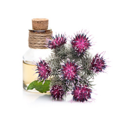 Bottle of burdock oil and burdock flowers