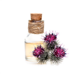 Flowers burdock and burdock oil on a white background