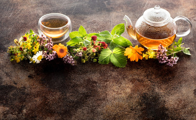 Herbal tea, fresh herbs and flowers. Herbal medicine..Copy space for text