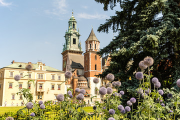 Fototapeta na wymiar Sigismund`s Chapel at Wawel Castle in Krakow (Poland)