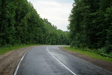 Fototapeta na wymiar Road in forest