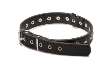 black leather collar for dog
