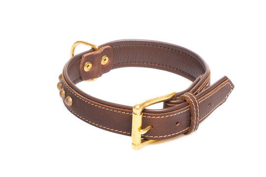 brown leather collar isolated over white background