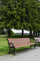 Empty Bench in Nanaimo Park