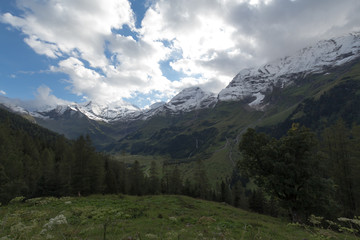Fototapeta premium snowy mountains in summer in Austria