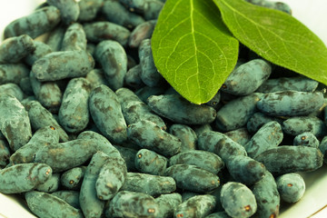 Fresh Blue Berries Of Honeysuckle (Lonicera) With Green Leaves In White Bowl Close Up.