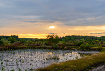 Beautiful panorama view of sunset background in the countryside of Thailand.