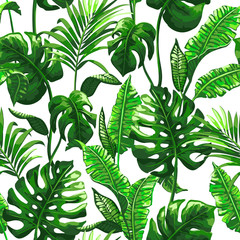 Fototapety  Tropikalny wzór z liści palmowych.