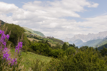 Guarda, Dorf, Engadin, Unterengadin, Alpen, Schweizer Berge, Felder, Feldweg, Wanderweg, Bergblumen, Graubünden, Sommer, Schweiz