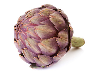 Fototapeta premium purple artichoke in studio