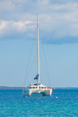 Naklejka premium Luxury sailing catamaran in open sea