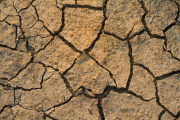 Cracked earth