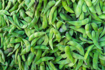 Green fresh soybean for background, ripe organic green pods of peas, close up picture