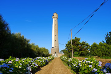 Trezien Leuchtturm in der Bretagne - Phare de Trezien lighthouse in Brittany