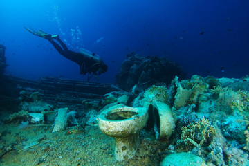 Scuba diver explore Yolanda reef