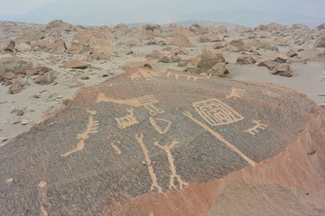 Toro Muerto Petroglyphs Peru
