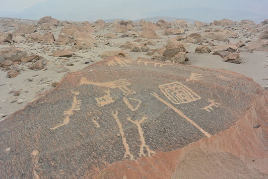 Toro Muerto Petroglyphs Peru