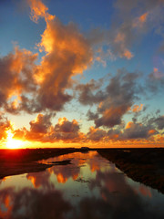 Sunset in the marshes of Chiclana, Spain