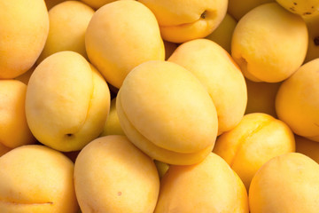 Fototapeta na wymiar Ripe apricots on the market. Background of apricots close-up.