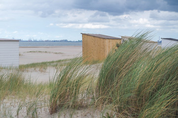 Strand mit Dünen im Sturm