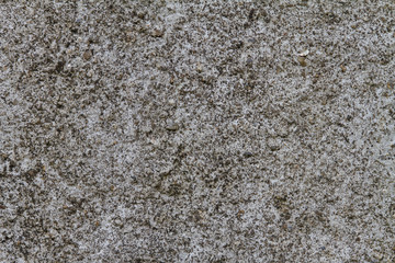 Grunge gray wall with natural cement texture