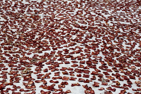 Dried Tomatoes