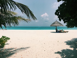 Processed with VSCO with c1 preset