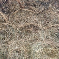 Straw