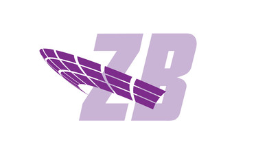 ZB Initial Logo for your startup venture