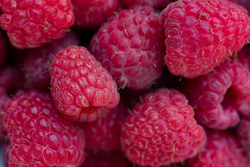 Sweet fresh organic raspberries background closeup, selective focus, free space. Macro photo. Natural berry background