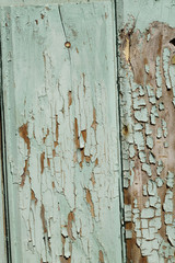 Old Wood texture Green backgrounds