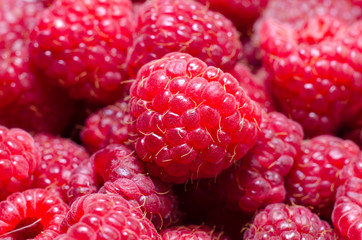 Raspberries