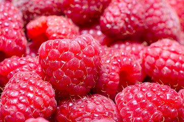 Raspberries