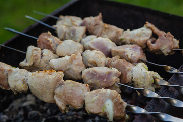 BBQ meat on grill in green summer garden