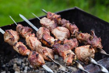 BBQ meat on grill in green summer garden