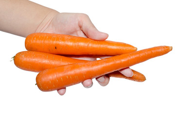 Carrots in hand
