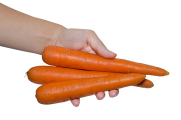 Carrots in hand