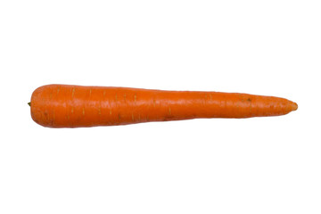 Carrot