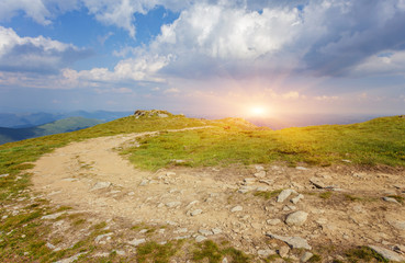 Horses in a meadow. Family with little foal