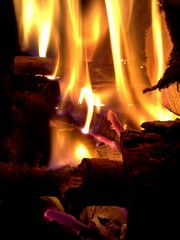 Fire Burning Newspaper and Logs
