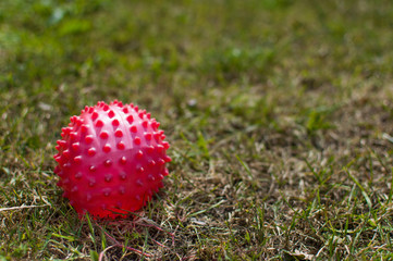 Red spiked ball on green grass