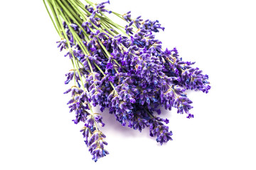 Lavender with aromatic oil