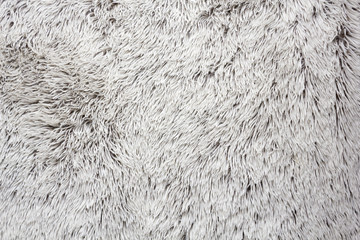 Blanket texture with white hairs - 166584529